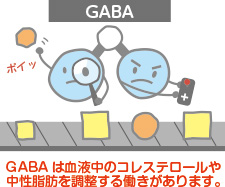 GABAの働き