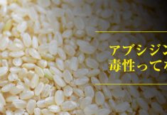 発芽玄米とアブシジン酸の関係