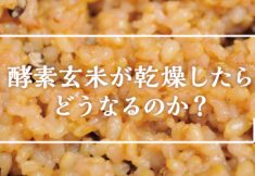 酵素玄米を乾燥した場合の栄養価
