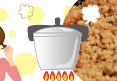 発芽玄米を圧力鍋で作る方法